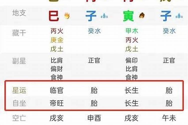 八字排盘中星运是什么意思？