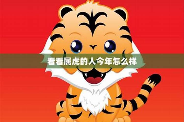 56岁虎人今年财运如何？