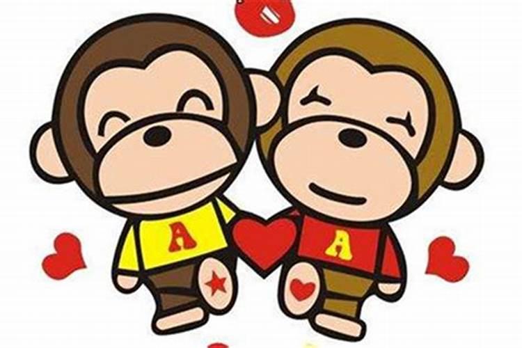 属猴男婚配哪个属相最好？