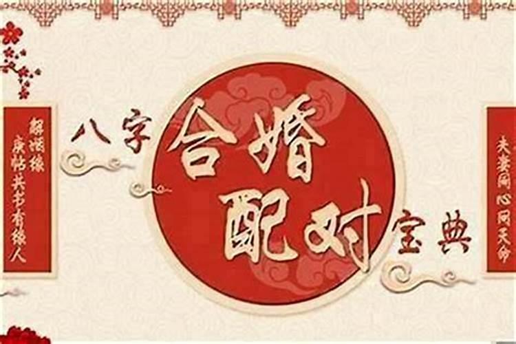 合婚最重要看哪一柱？