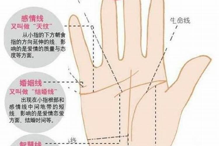 手相可以看出最近的运势吗？