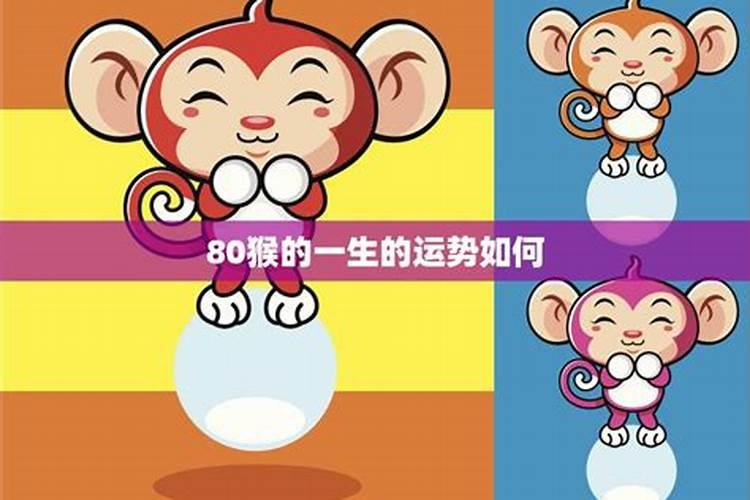 80的猴遇猪年运势如何？