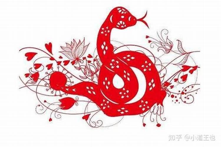 属蛇刑太岁化解方法