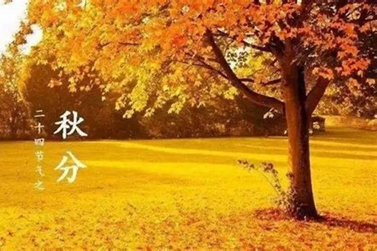 传统节气秋分在哪天结束？