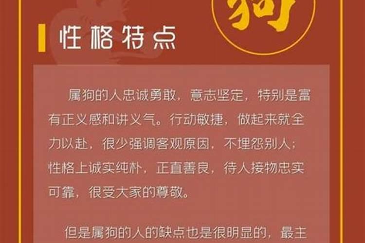 腊月狗住几层？