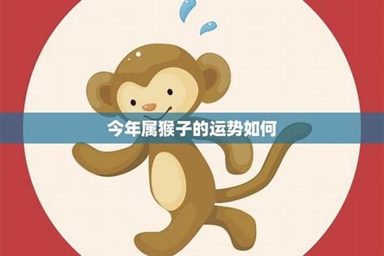 属猴子男的今年运势