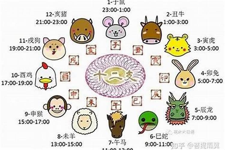 八字同一时辰出生的人