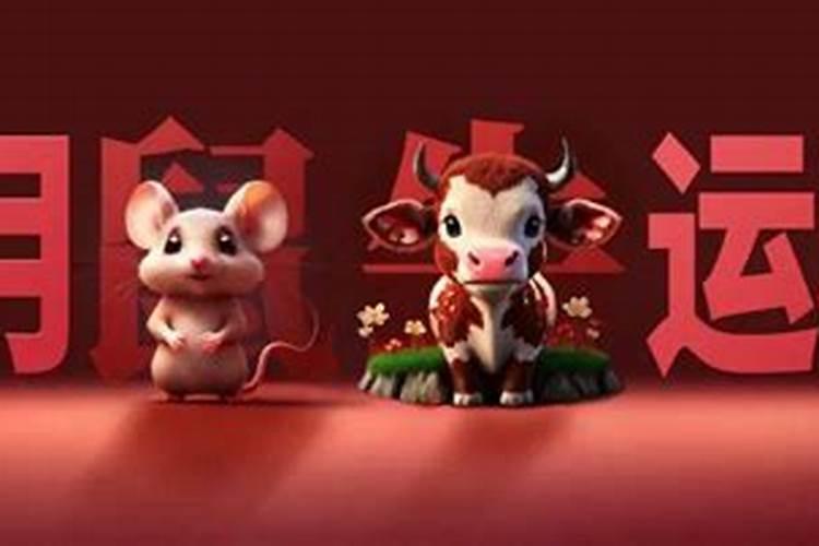 属鼠今年农历五月份运程