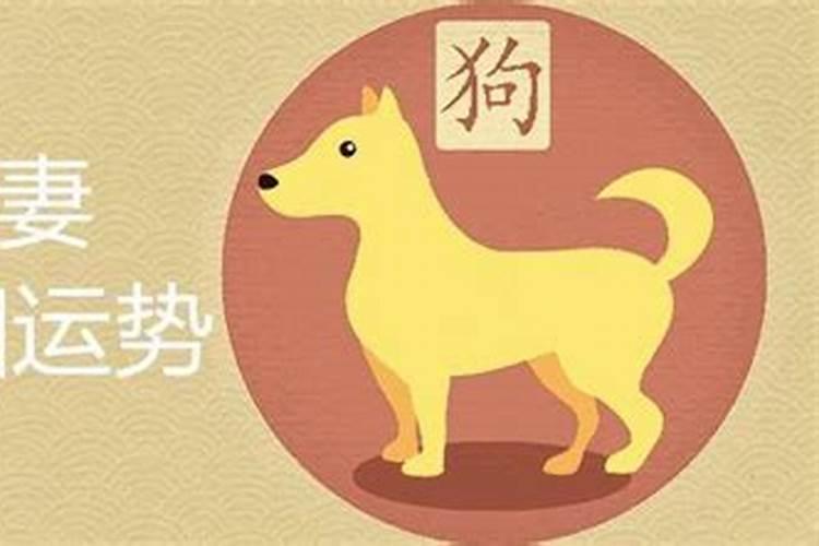 属牛和属狗的婚姻怎么样？