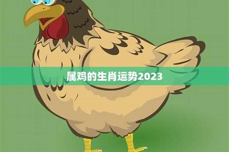 正月初五属鸡的财运