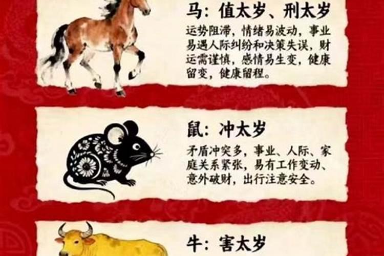 2026年属兔犯太岁怎么化解？