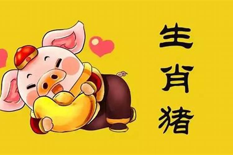 属相婚配男猪婚配什么？