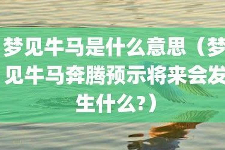 梦见牛马是什么预兆女人？