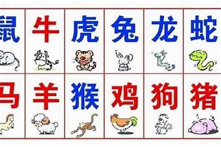 属相婚配真的有用吗？