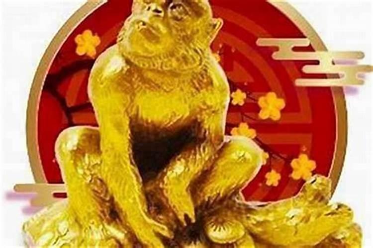 属猴哪一年犯太岁？