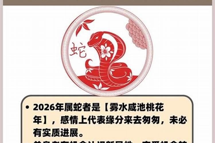 2026年运势前3名的生肖