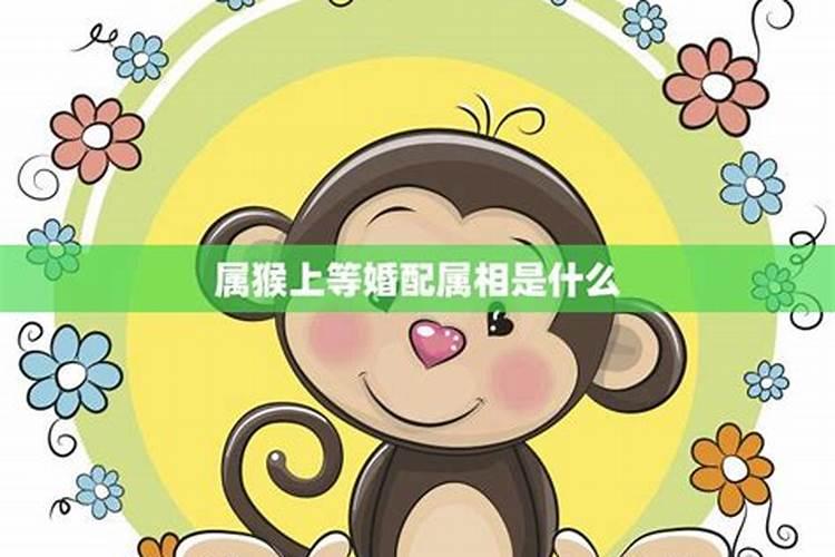属猴的最佳婚配对象