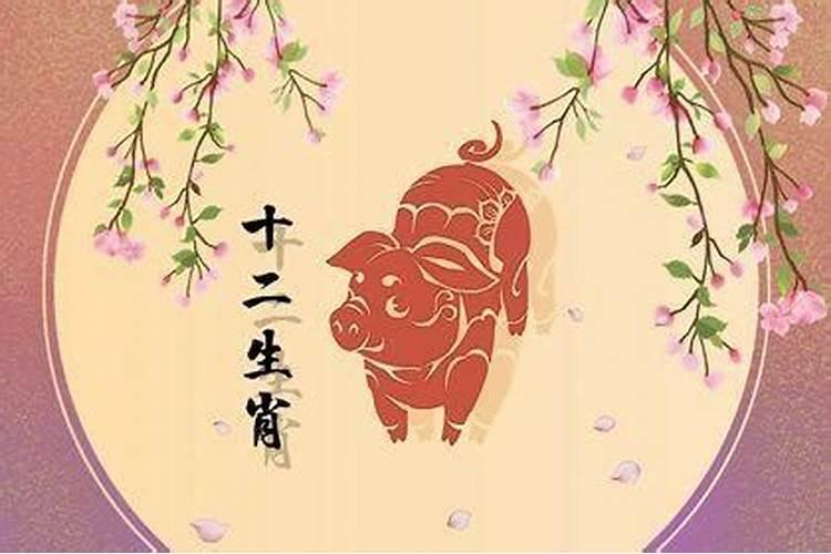 五月出生的猪宝宝运势