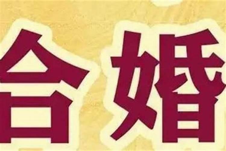 合婚一般是什么意思？