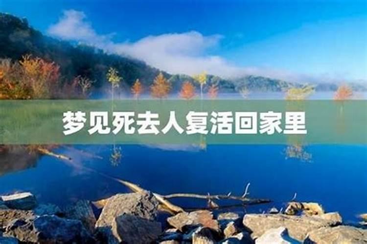 梦见死去的男友复活回来了