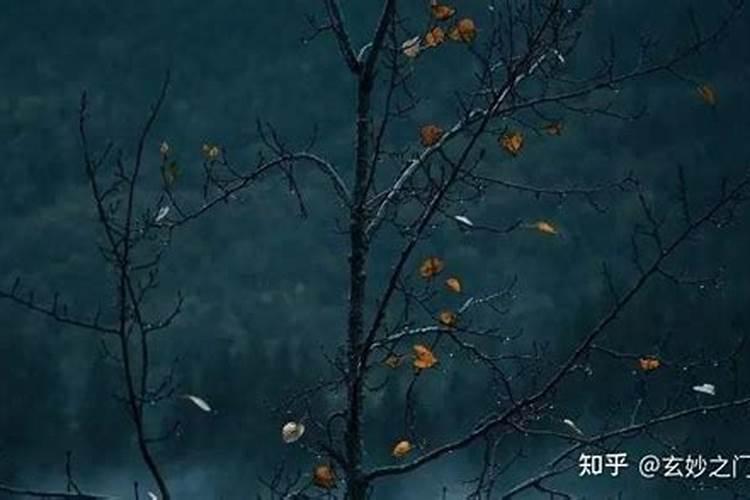 命带童子的人多吗？