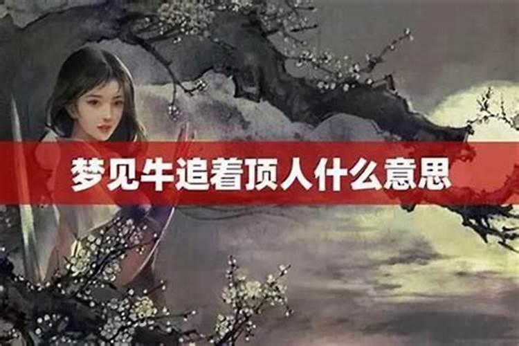 梦到老牛顶我是啥意思？