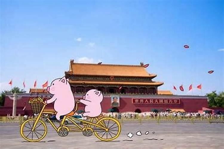 九月初九的猪命运怎样？