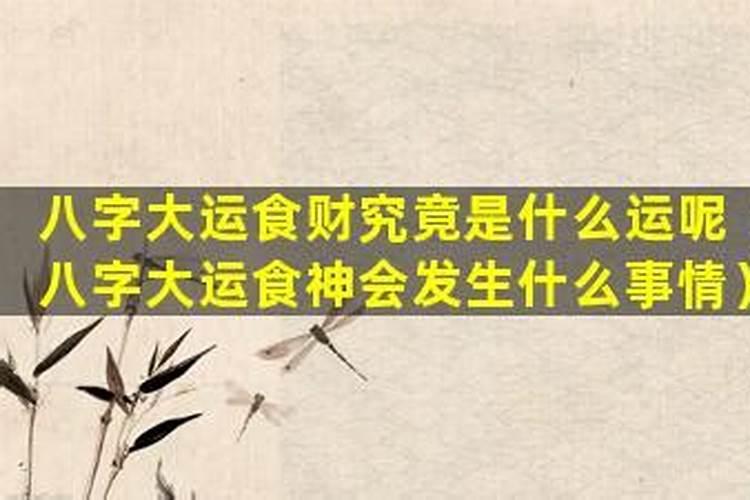 八字大运才食食是什么意思？