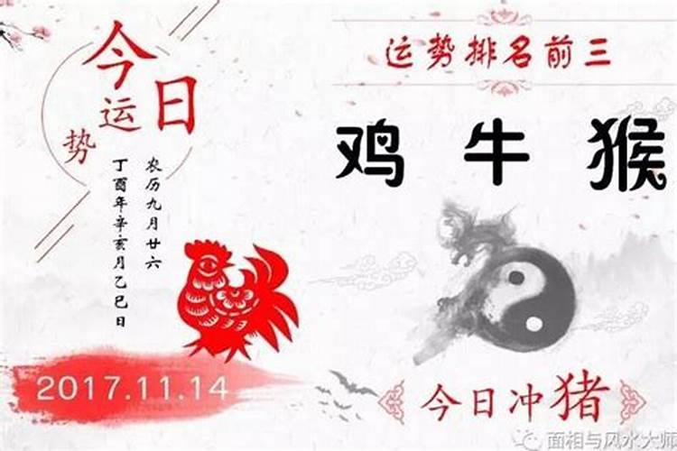 2026年运势11月14号运势