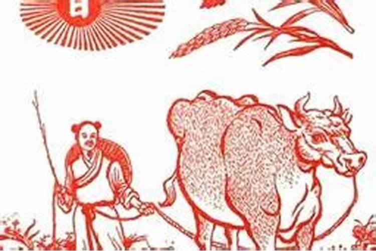 从地母经上看2026年运势