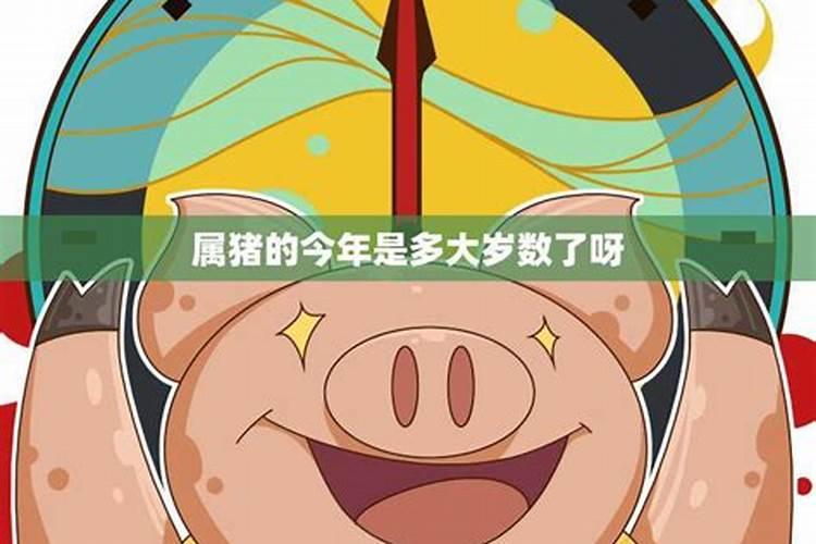属猪的今年多大了岁数表？