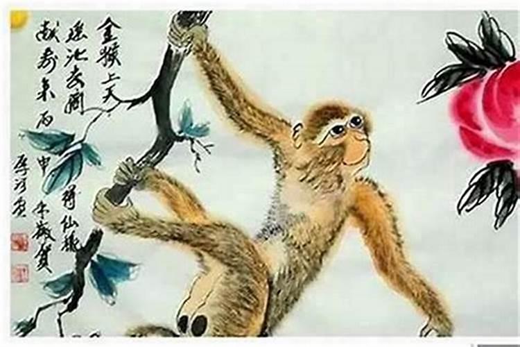 兔子跟猴子八字不合吗？