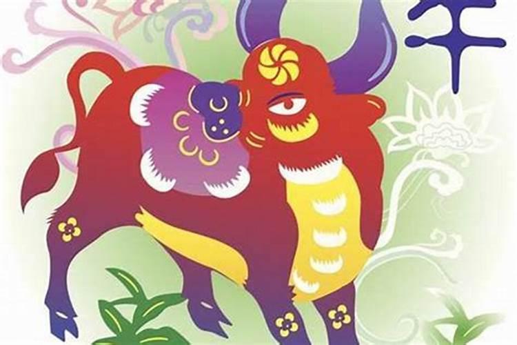 属牛的和属虎的八字合吗？