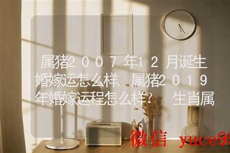 属猪12月运程怎么样？