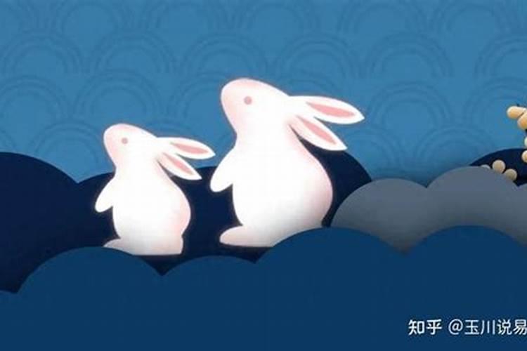 立秋以后生的兔宝宝的命运