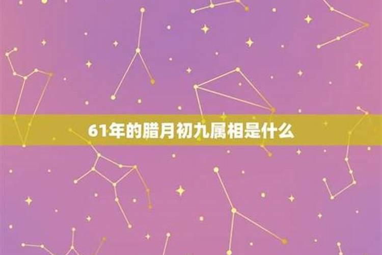 农历腊月初九是什么星座？