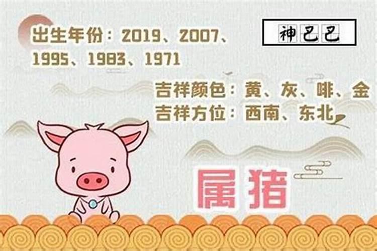 属猪生在下半年运势好吗？
