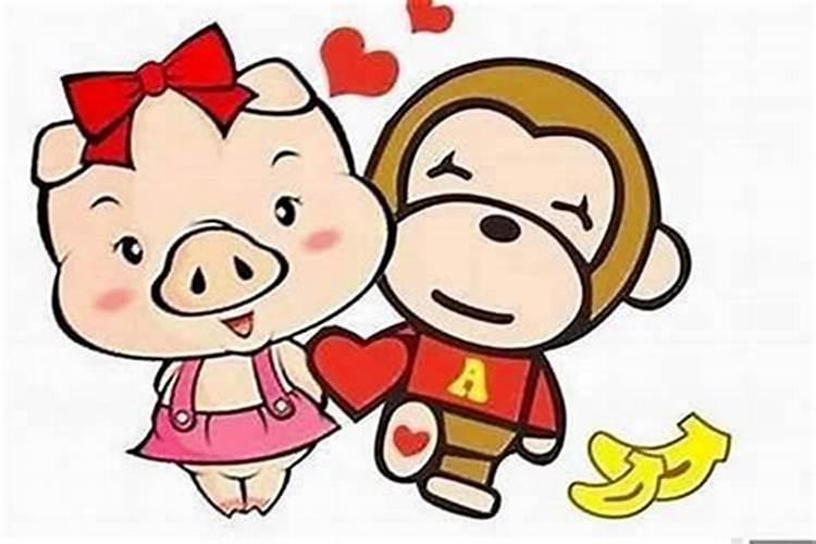 属猪属猪的合婚吗？