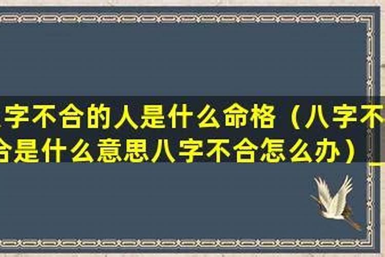 八字不合怎么个不合？