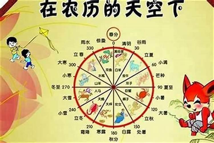 1985年出生的人的运程