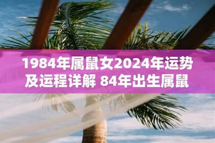 1984出生2026年运势
