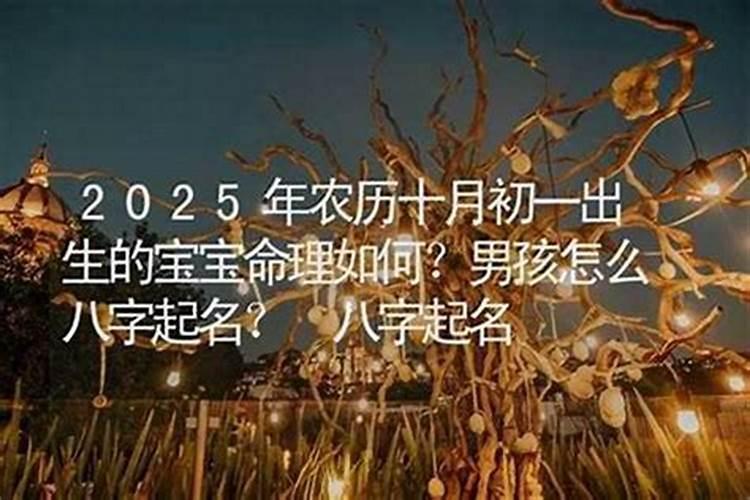 阴历十月初一出生的宝宝