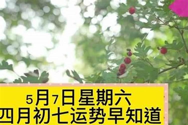 四月初七出生的人运势