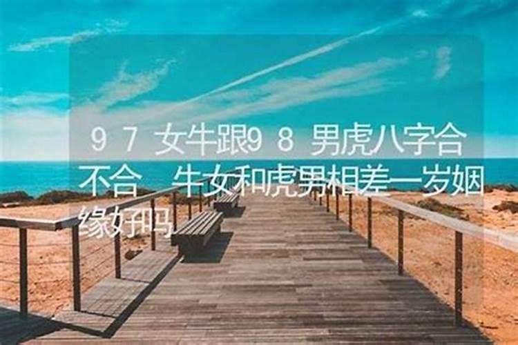 男87年女90年八字合吗？