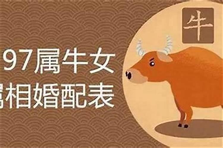 属相鼠和牛婚配可以吗？