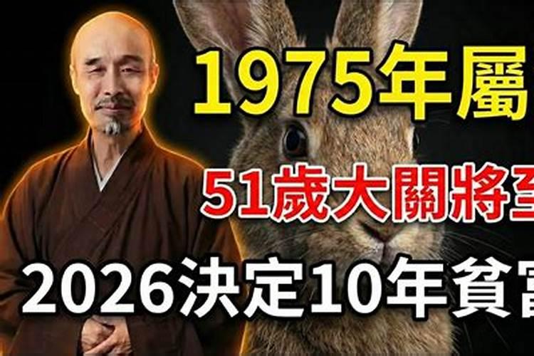 1975乙卯2026年运程