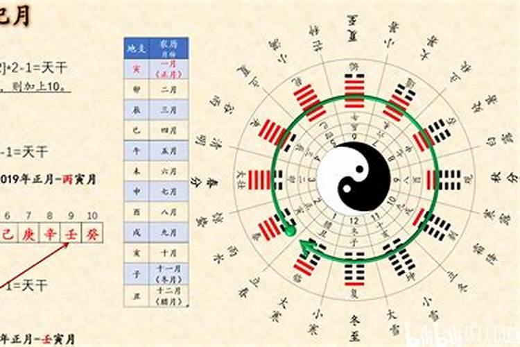 天干地支怎么看大运？