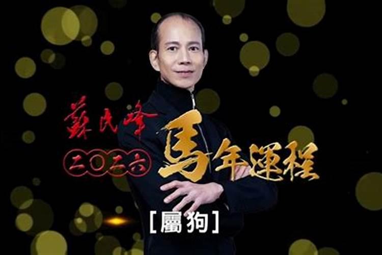 香港大师2026年运势
