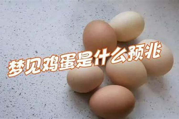 梦见鸡蛋是什么兆头？