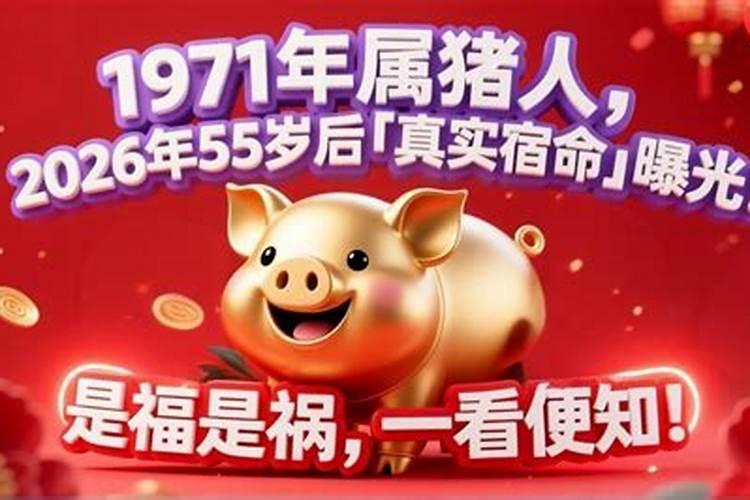 1971年猪人2026年运程